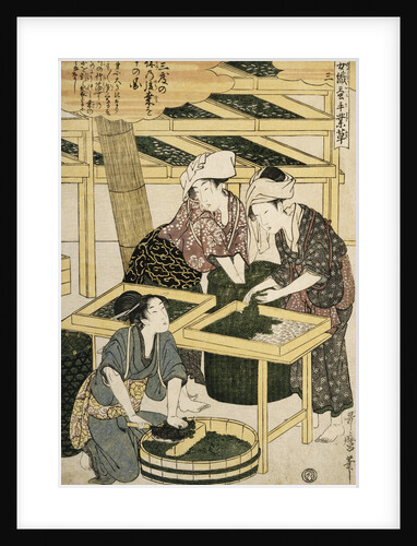 Print Depicting Women Cutting Mulberry Leaves from Silkworm Culture by Women by Utamaro