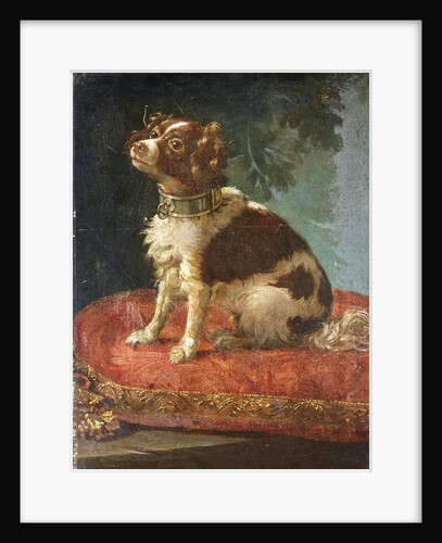 A Spaniel on a Cushion by Circle of Giacomo Antonio Ceruti
