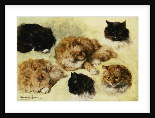 Studies of Cats by Henriette Ronner-Knip