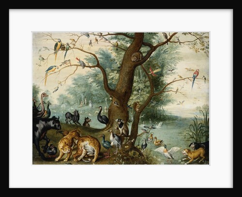 Animals and Birds in the Garden of Eden by School of Ferdinand van Kessel