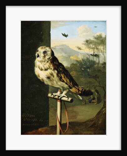 An Owl on a Perch by Willem van Mieris