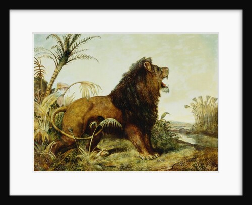 A Lion in a Jungle Landscape by William Huggins