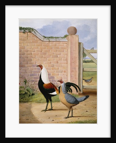 Old English Game by a Gate by Robert Harrington