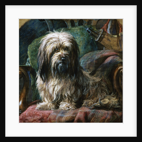 A Dandy Dinmont by Gourlay Steel