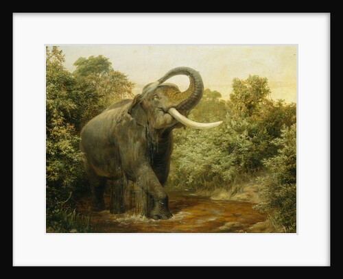 The Monster Tusker by Joseph Wolf