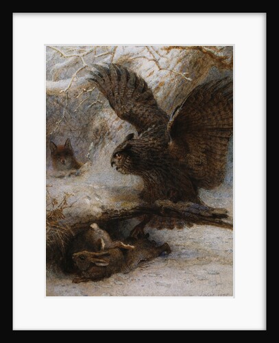 A Hair-Breadth Escape: An Owl, a Fox and a Hare by Joseph Wolf