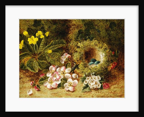 A Primrose and Birds Nest on a Mossy Bank by Oliver Clare