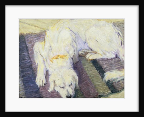 Dog Lying Down (Dog Portrait) by Franz Marc