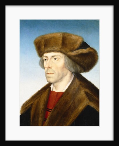 Portrait of a Gentleman by Hans Maler