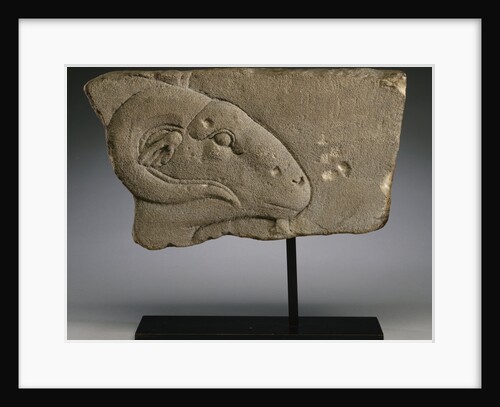 Egyptian Sandstone Relief of Ram's Head by Anonymous