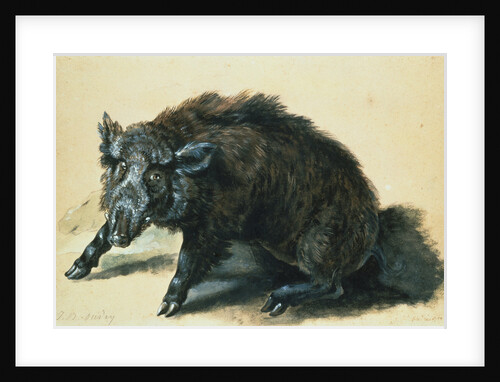A Wild Boar at Bay by Jean-Baptiste Oudry