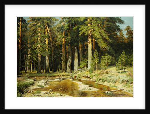 The Mast Tree Grove, Study Attributed to Ivan Ivanovich Shishkin by Anonymous