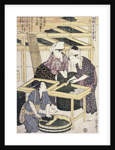 Silkworm Culture by Women Featuring Two Women Transferring Silkworm Eggs by Hitsu Utamaro