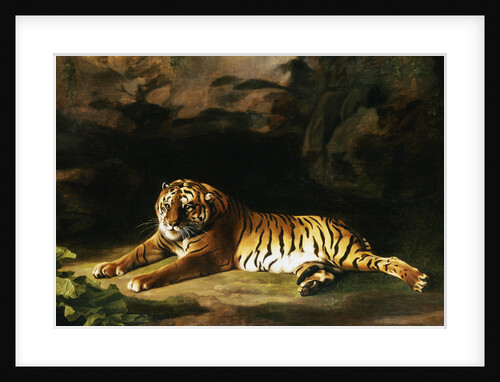 Portrait of the Royal Tiger by George Stubbs