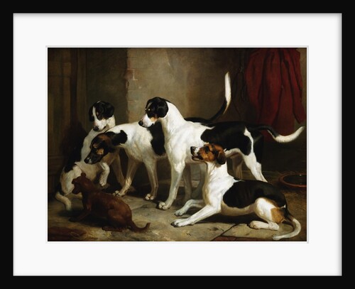 The Puckeridge Foxhounds Rantipole, Rummager, Racer, and Reveller by Thomas Woodward