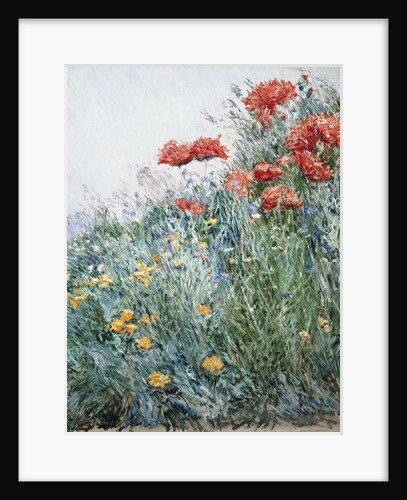 Poppies, Appledore by Childe Hassam