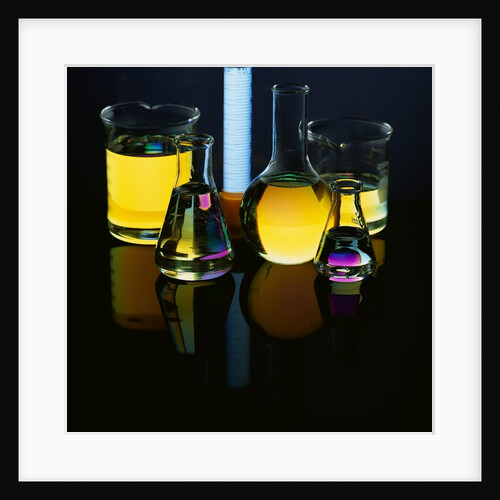 Laboratory Flasks and Beakers Filled with Liquid by Anonymous