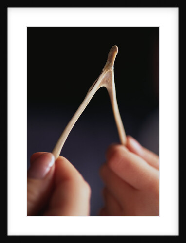 Two hands and a Wish Bone by Anonymous