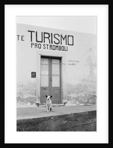 Dog Guarding a Tourist Office by Anonymous