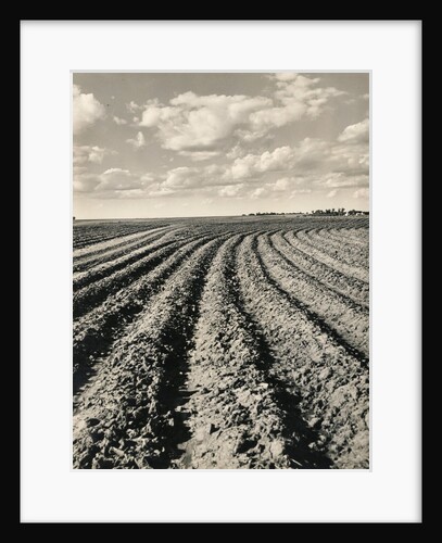 Local Farmland by Anonymous