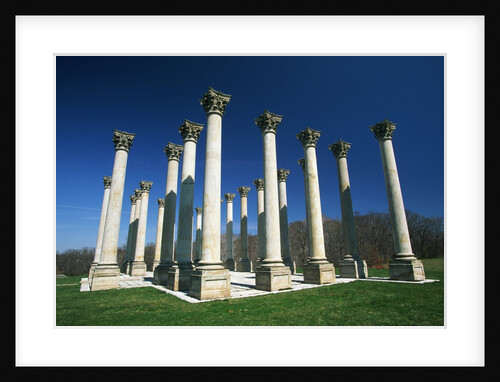 National Capitol Columns in the National Arboretum by Anonymous