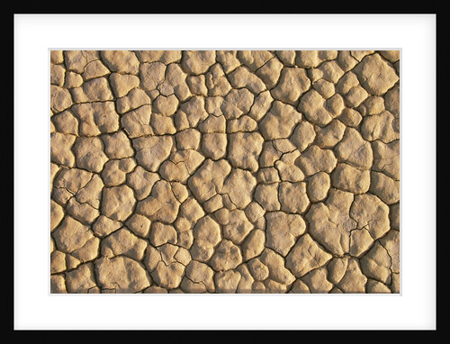 Cracked, Dry Lake Bottom Pattern in Death Valley by Anonymous
