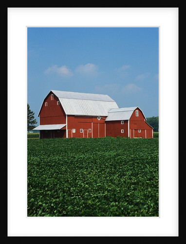 Barn and Corn Field by Anonymous