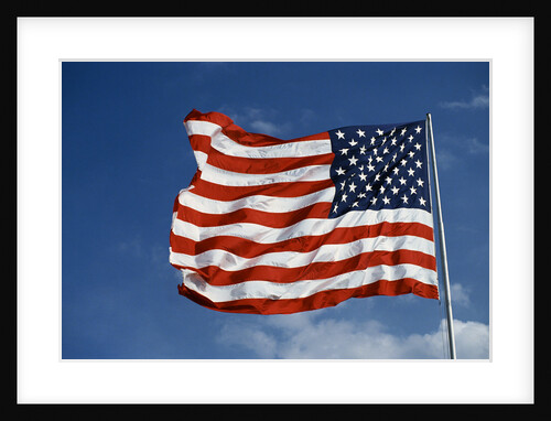 American Flag in the Wind by Anonymous