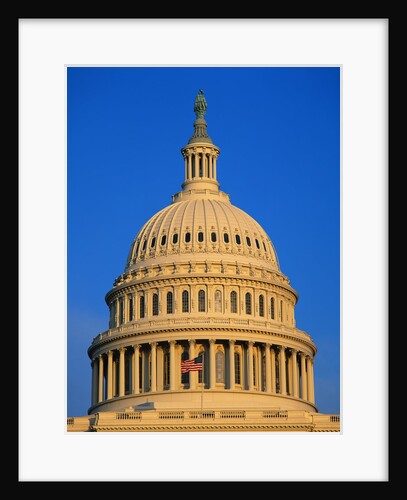 Dome of the United States Capitol by Anonymous