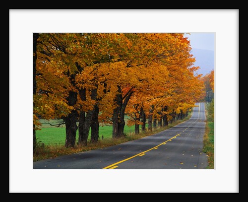 Rural Road in Autumn by Anonymous