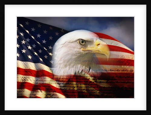 Bald Eagle Head and American Flag by Anonymous