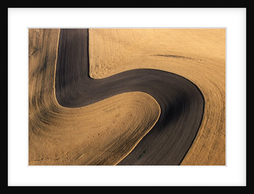 Wheat Fields on Palouse Hills by Anonymous