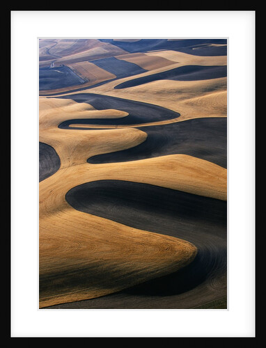 Wheat Fields of the Palouse Hills by Anonymous