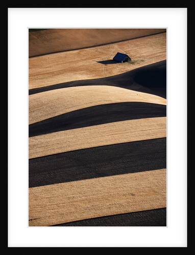 Wheat Fields on the Palouse Hills by Anonymous