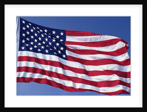 American Flag Blowing in the Wind by Anonymous