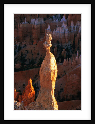 Hoodoos in Bryce Canyon National Park by Anonymous