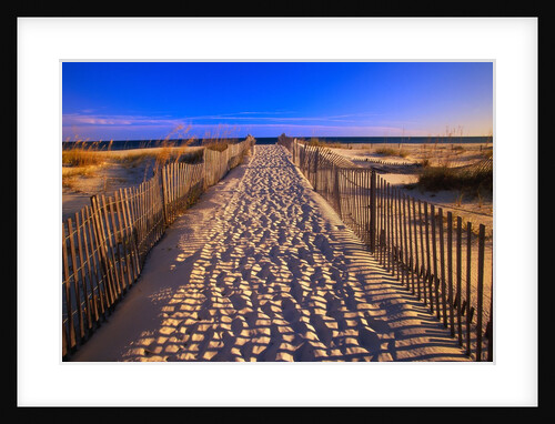 Sand Trail on Santa Rosa Island by Anonymous