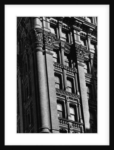 Exterior Detail of the Potter Building by Anonymous