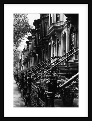 Stoops on 19th Century Brooklyn Row Houses by Anonymous