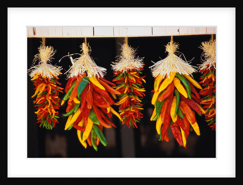 Hanging Chili Peppers by Anonymous