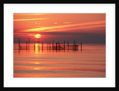 Silhouetted Fishing Net at Sunset by Anonymous