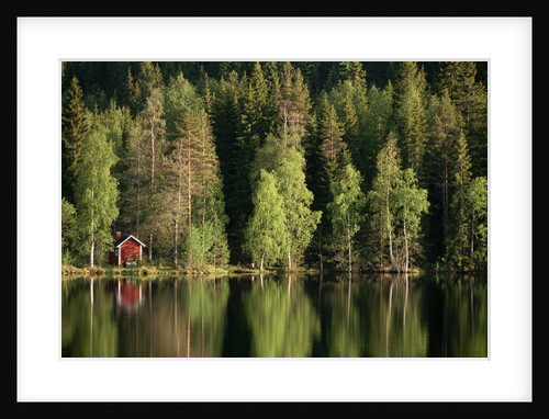 Sauna House at Edge of Forested Lake by Anonymous