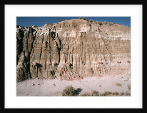 Badlands in Theodore Roosevelt National Park by Anonymous