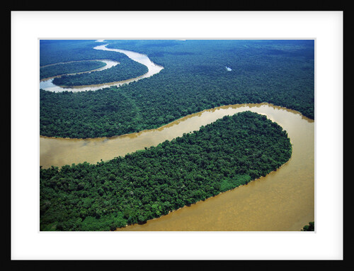 Meandering Tigre River by Anonymous