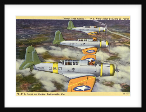 US Navy Scout Bombers on Patrol by Anonymous