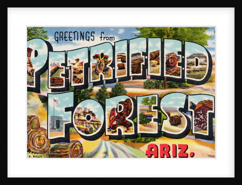 Greetings from Petrified Forest, Arizona Postcard by Anonymous