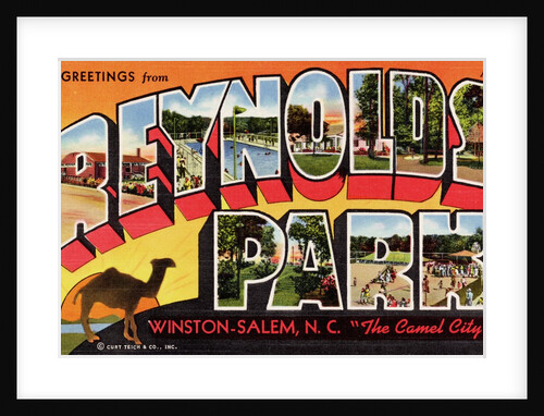 Greeting Card from Reynolds Park by Anonymous