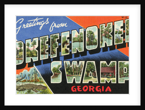 Greeting Card from Okefenokee Swamp by Anonymous