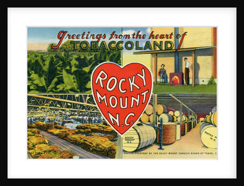Greeting Card from Rocky Mount, North Carolina by Anonymous