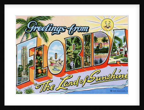 Greetings from Florida, "The Land of Sunshine" Postcard by Anonymous